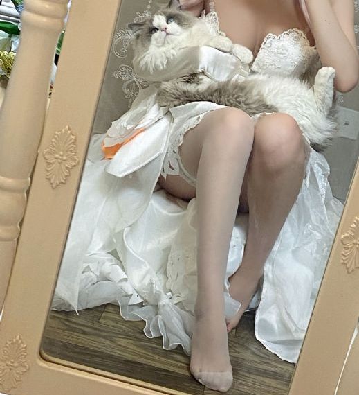 终极猎杀在线观看_4KBD在线观看