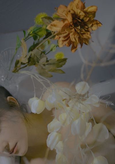 全职高手第3季在线看樱花_国产剧神马影院手机在线
