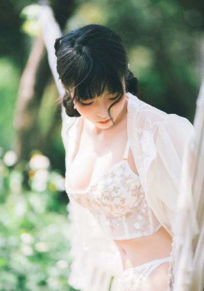 后宫电视剧全集完整版观看_1080P在线观看完整版