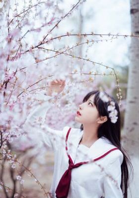 史前战纪第一季在线观看完整版_高清在线播放观看
